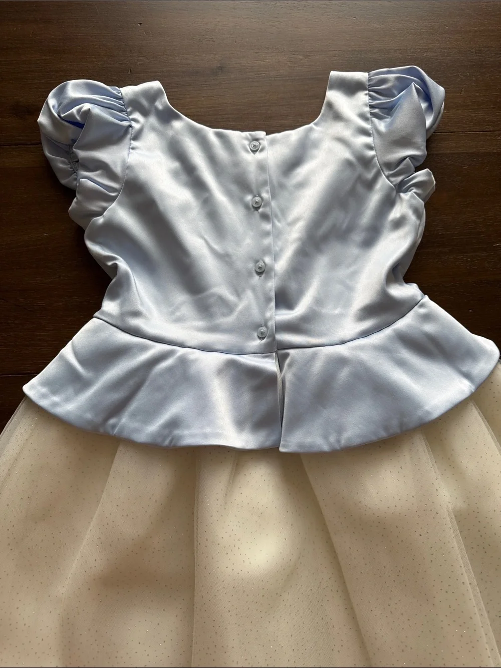 NWOT Sz 10 Disney X Janie and Jack Cinderella tulle dress